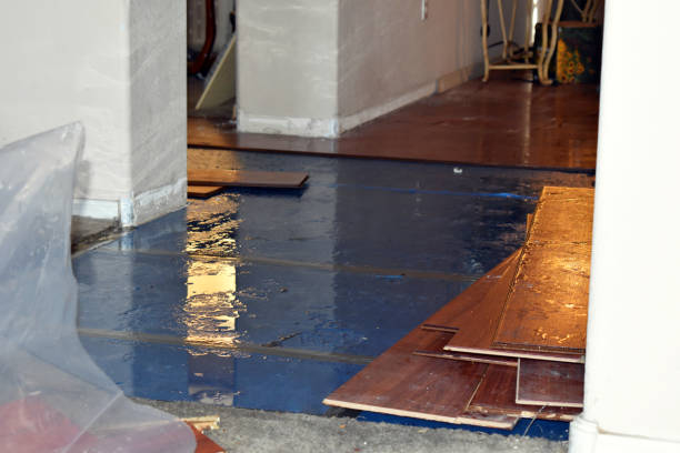 Professional Burst Pipe Cleanup technician working in Driscoll, TX